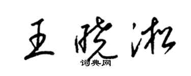 梁錦英王曉淞草書個性簽名怎么寫