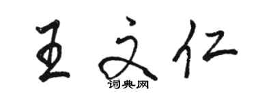 駱恆光王文仁行書個性簽名怎么寫