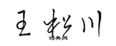 駱恆光王松川草書個性簽名怎么寫