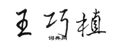 駱恆光王巧植行書個性簽名怎么寫