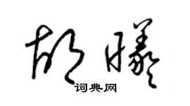 梁錦英胡曦草書個性簽名怎么寫