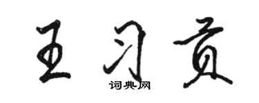 駱恆光王習貢行書個性簽名怎么寫