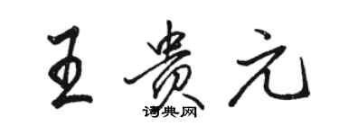 駱恆光王貴元行書個性簽名怎么寫