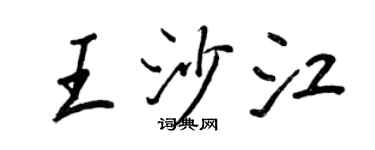 王正良王沙江行書個性簽名怎么寫