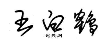 朱錫榮王白鶴草書個性簽名怎么寫