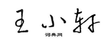 駱恆光王小軒草書個性簽名怎么寫