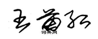 朱錫榮王苗紅草書個性簽名怎么寫