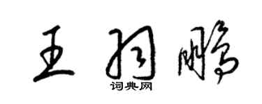 梁錦英王羽鵬草書個性簽名怎么寫