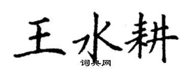 丁謙王水耕楷書個性簽名怎么寫