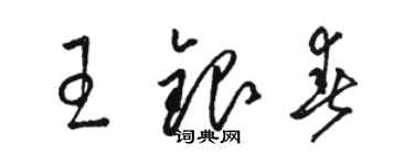 駱恆光王銀春草書個性簽名怎么寫