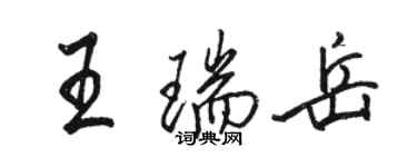 駱恆光王瑞岳行書個性簽名怎么寫
