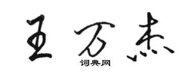 駱恆光王萬傑行書個性簽名怎么寫