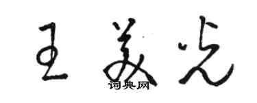 駱恆光王美光草書個性簽名怎么寫