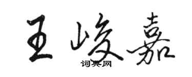 駱恆光王峻嘉行書個性簽名怎么寫