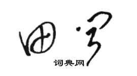 駱恆光田聞草書個性簽名怎么寫