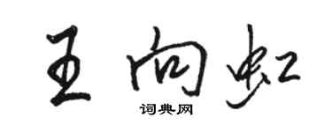 駱恆光王向虹行書個性簽名怎么寫