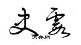 曾慶福史霞草書個性簽名怎么寫