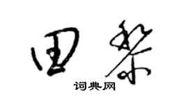 梁錦英田黎草書個性簽名怎么寫