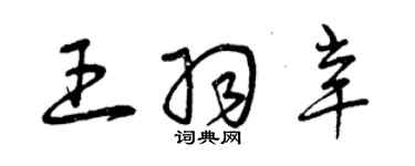 曾慶福王羽辛草書個性簽名怎么寫