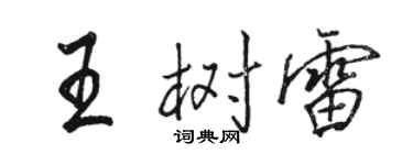 駱恆光王樹雷行書個性簽名怎么寫