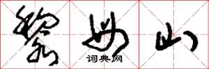 劉少英黎母山草書怎么寫