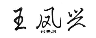 駱恆光王鳳興行書個性簽名怎么寫