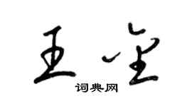 梁錦英王金草書個性簽名怎么寫