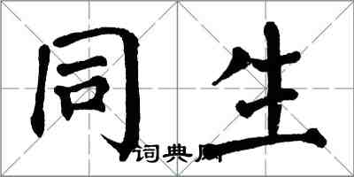 翁闓運同生楷書怎么寫