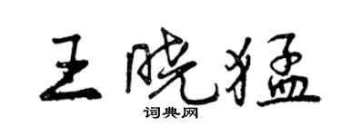 曾慶福王曉猛行書個性簽名怎么寫
