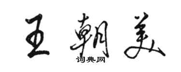 駱恆光王朝美行書個性簽名怎么寫