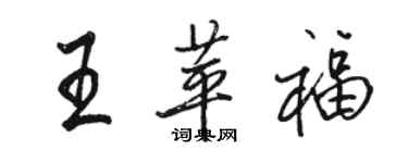 駱恆光王苹福行書個性簽名怎么寫