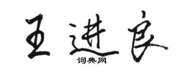 駱恆光王進良行書個性簽名怎么寫