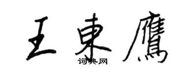 王正良王東鷹行書個性簽名怎么寫