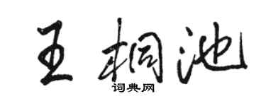 駱恆光王桐池行書個性簽名怎么寫