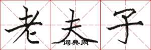 駱恆光老夫子楷書怎么寫
