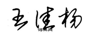 朱錫榮王佳楊草書個性簽名怎么寫