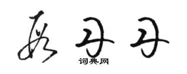 駱恆光段丹丹草書個性簽名怎么寫
