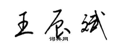 梁錦英王辰斌草書個性簽名怎么寫