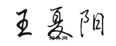 駱恆光王夏陽行書個性簽名怎么寫