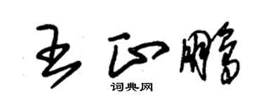 朱錫榮王正鵬草書個性簽名怎么寫