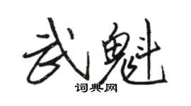 駱恆光武魁行書個性簽名怎么寫