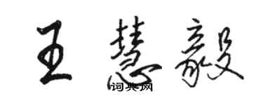 駱恆光王慧毅行書個性簽名怎么寫