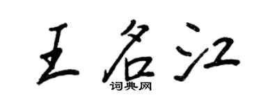 王正良王名江行書個性簽名怎么寫