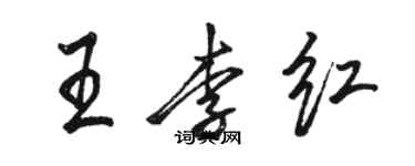 駱恆光王李紅行書個性簽名怎么寫