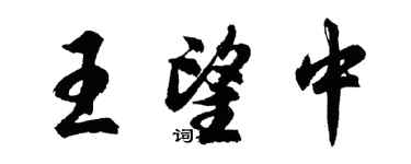 胡問遂王望中行書個性簽名怎么寫