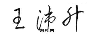 駱恆光王沛升草書個性簽名怎么寫