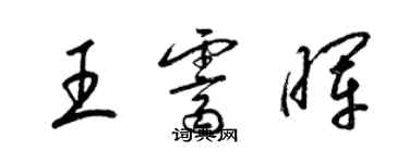 梁錦英王霽暉草書個性簽名怎么寫