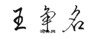 駱恆光王爭名行書個性簽名怎么寫