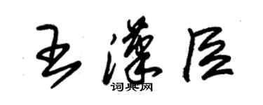 朱錫榮王漢臣草書個性簽名怎么寫