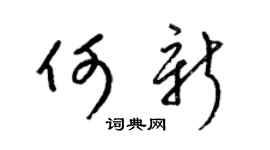 梁錦英何新草書個性簽名怎么寫